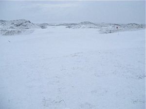 Carne Golf Links in Snow