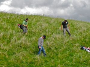 Ball search at Askernish